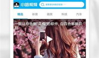小视频网站,捕捉时代脉搏，展现多彩生活